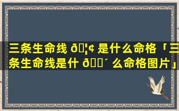 三条生命线 🦢 是什么命格「三条生命线是什 🐴 么命格图片」